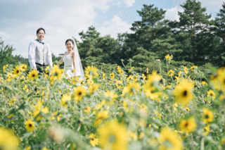 ひまわり畑で夏らしいロケーションフォトを（洋装2着ロケーションフォト）