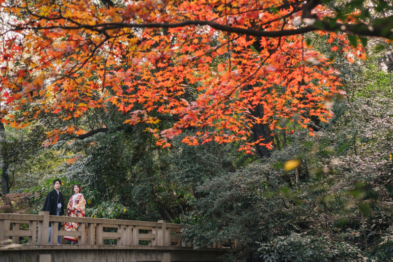 紅葉フォトも