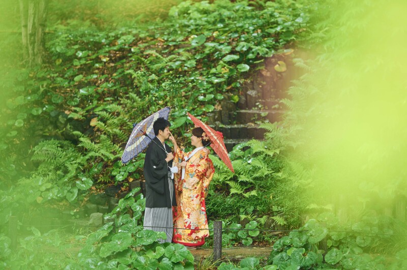 新緑が映える雨の日