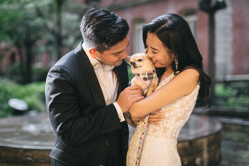 わんちゃんとも一緒に