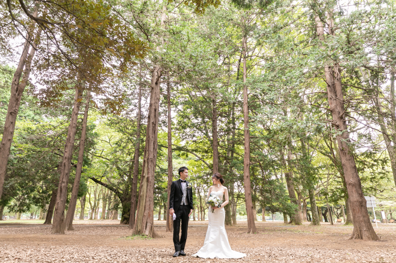 遠くからのショットも