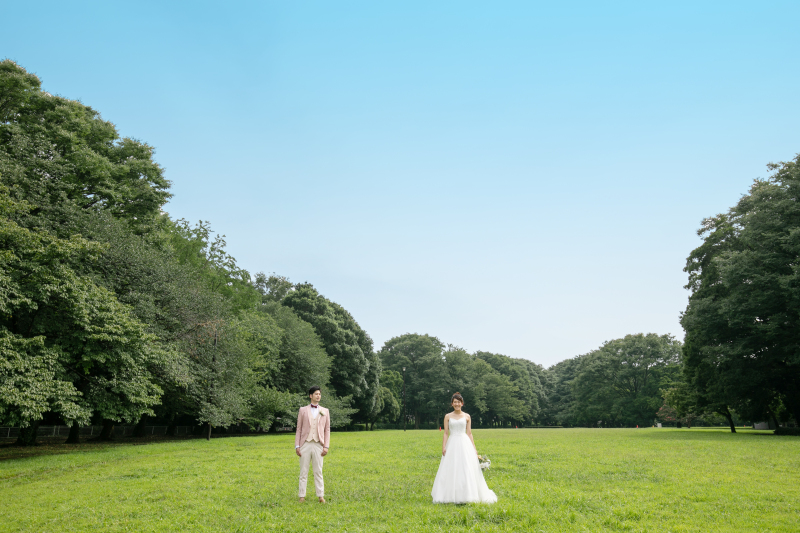 晴れ渡る空の下で