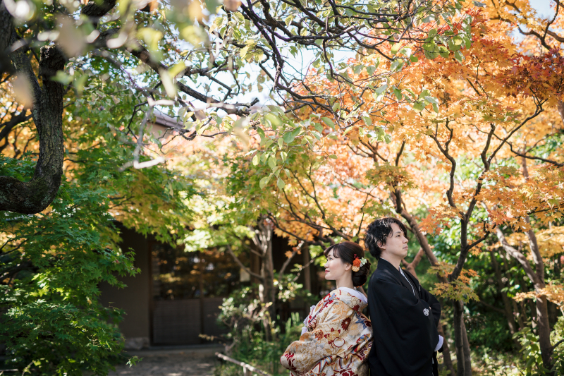 秋の目白庭園で