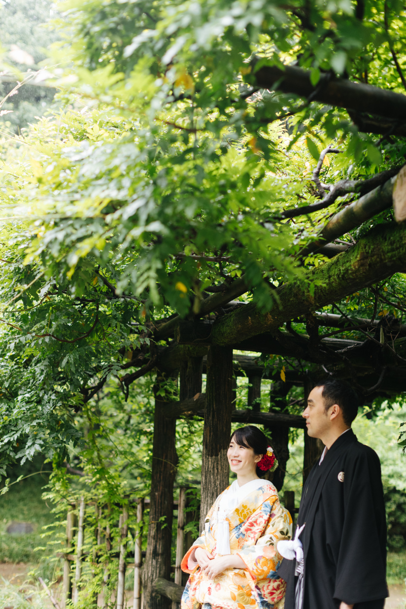 美しい自然の色合いと