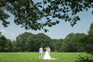 晴れた夏の日に
