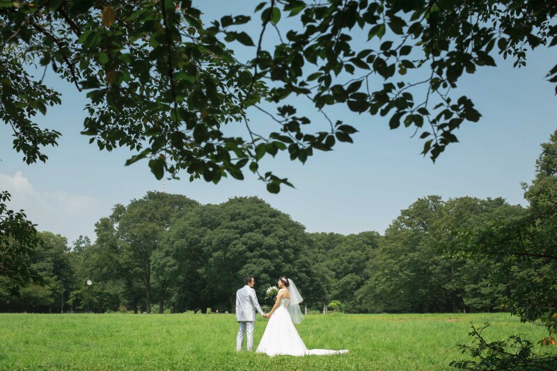 晴れた夏の日に
