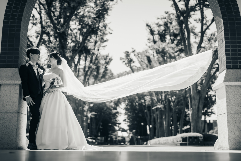 洗練された写真も