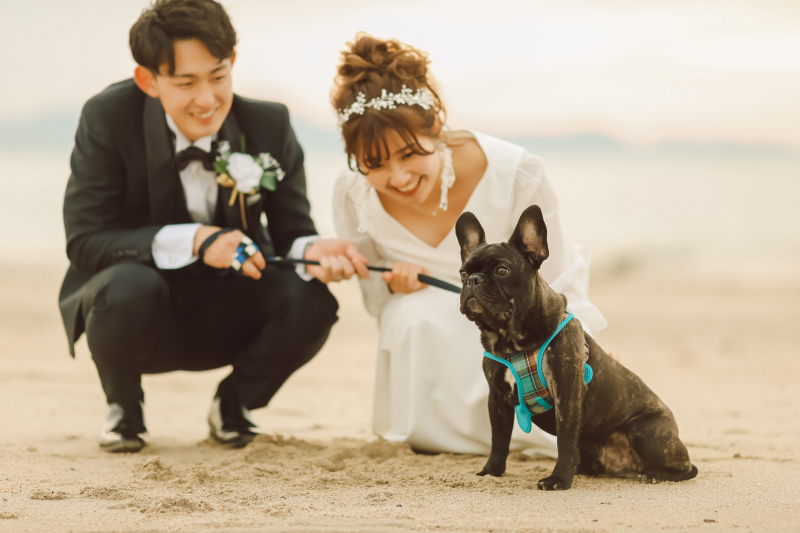 【ペットと一緒に撮影】ロケーションフォト（洋装1着＋新婦ヘアメイク＋全データ）