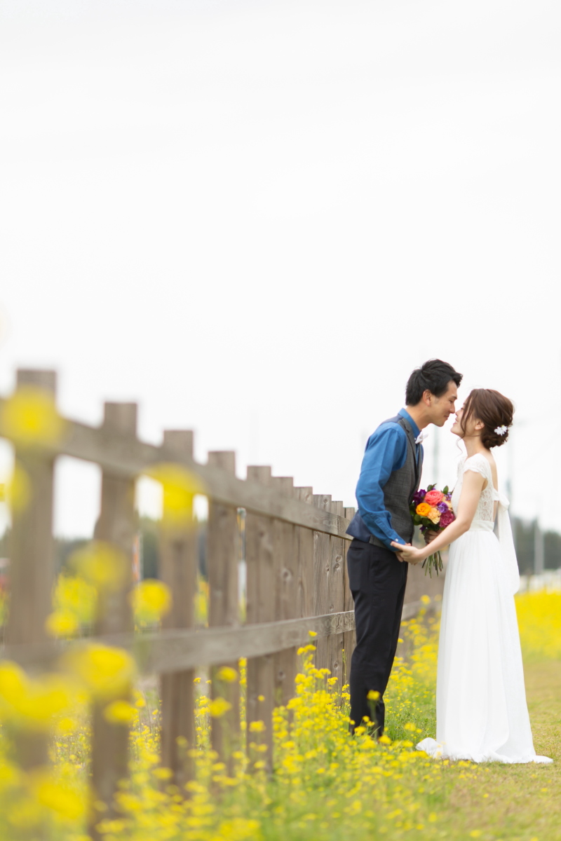 春だけど・・・