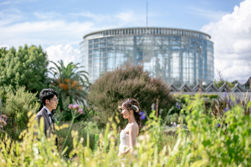 まーるいドーム