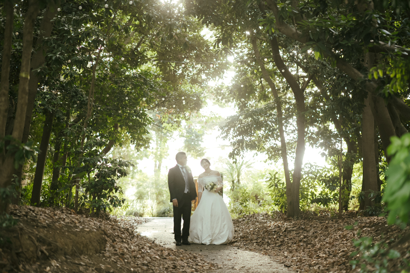 森の道、まだ半分