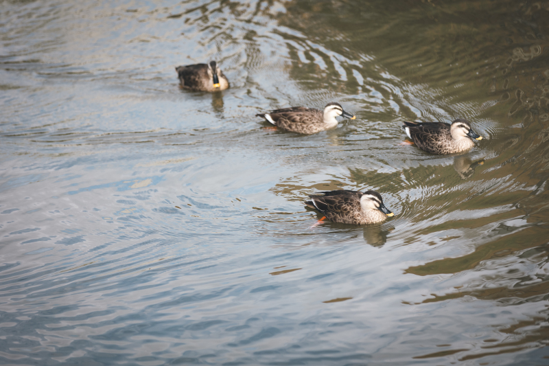 その日の情景も