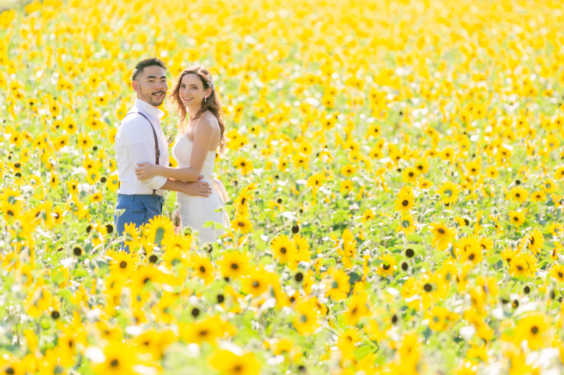 鮮やかな大自然の中で