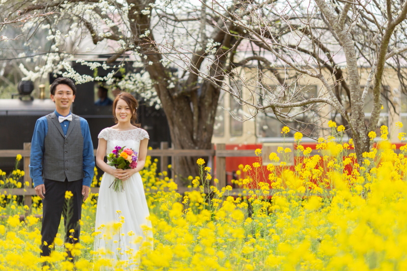 菜の花×鉄道のコラボ