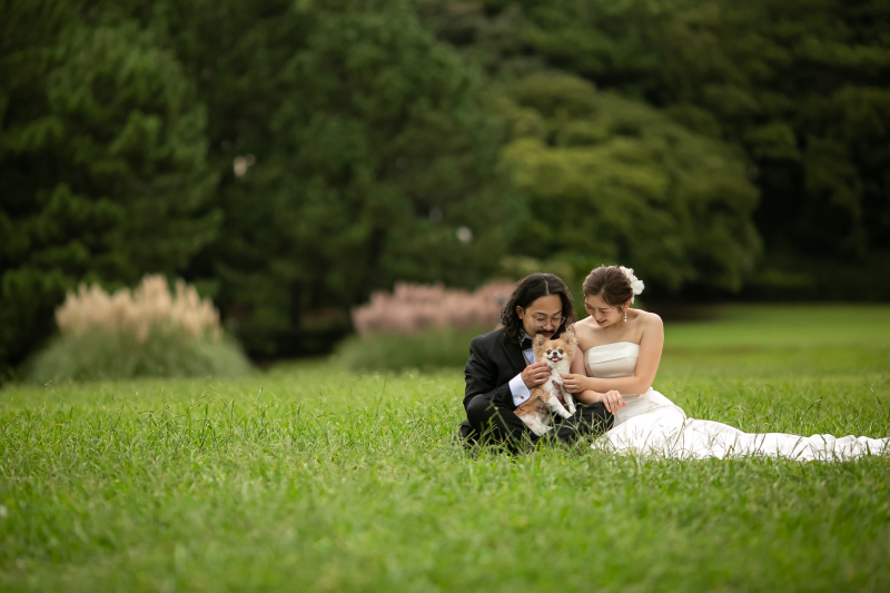 ペットのわんちゃんと