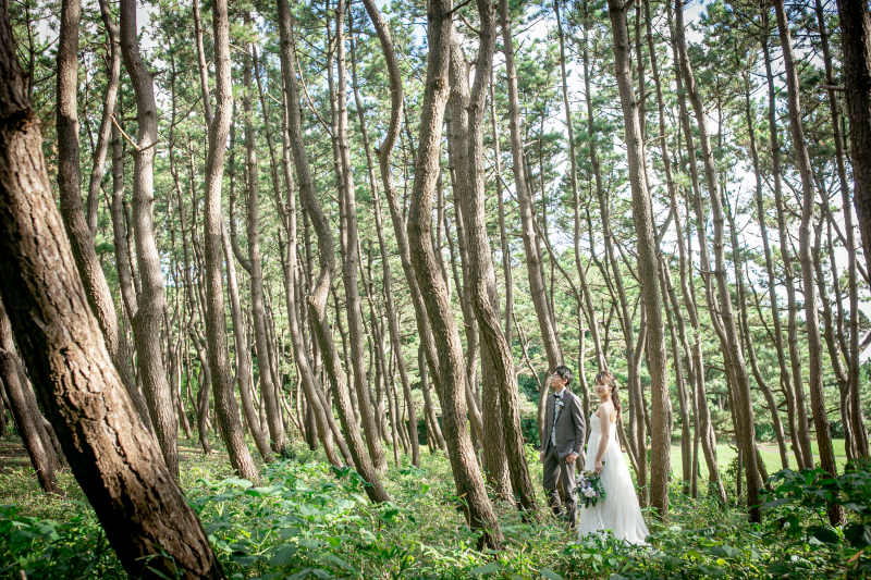 これ「海浜公園」なんです
