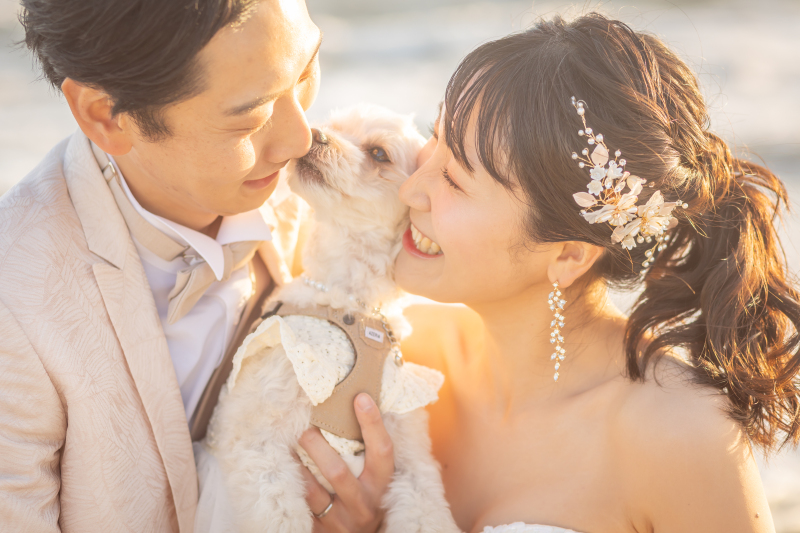 ラストショット