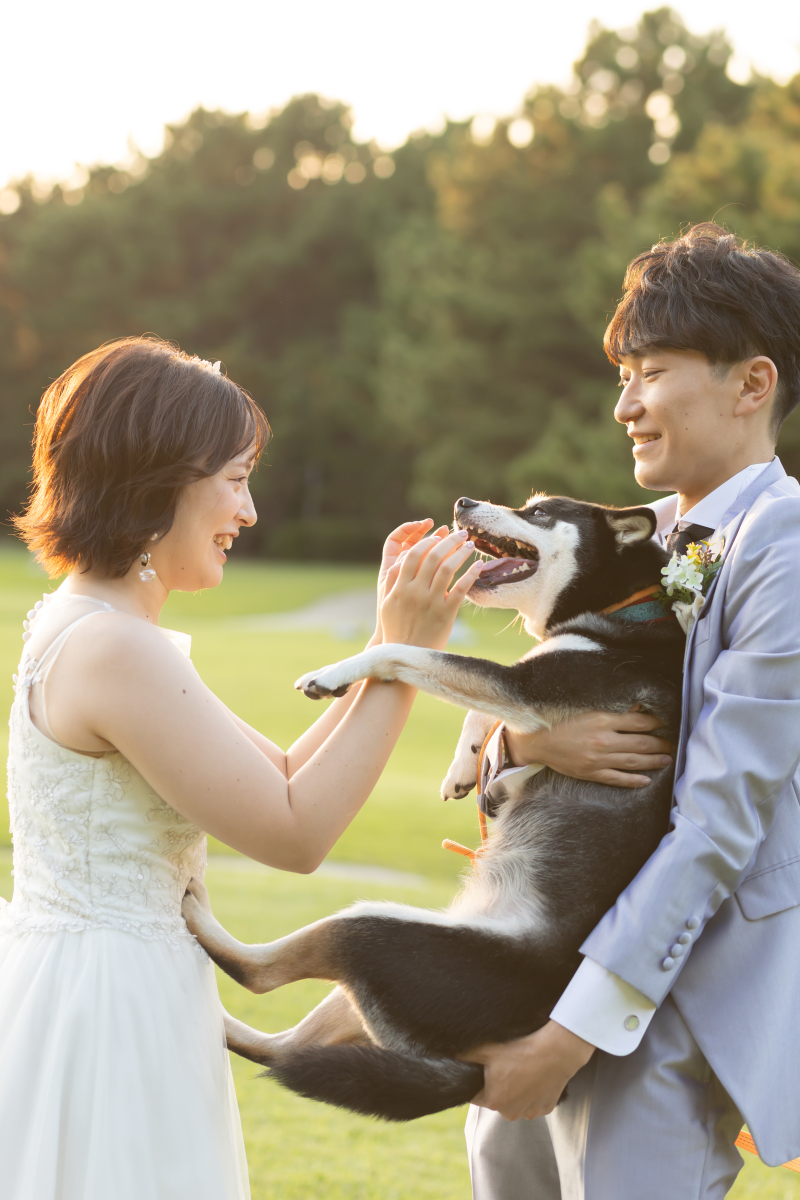 わんちゃん登場!!