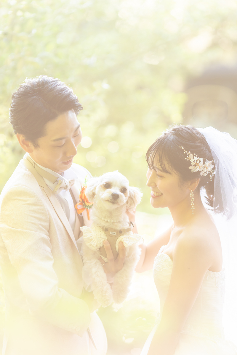 わんちゃん登場!