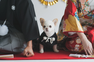 ラヴィファクトリー千葉店