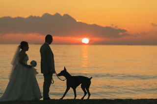 ラヴィファクトリー千葉店