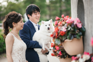 ペットとの撮影