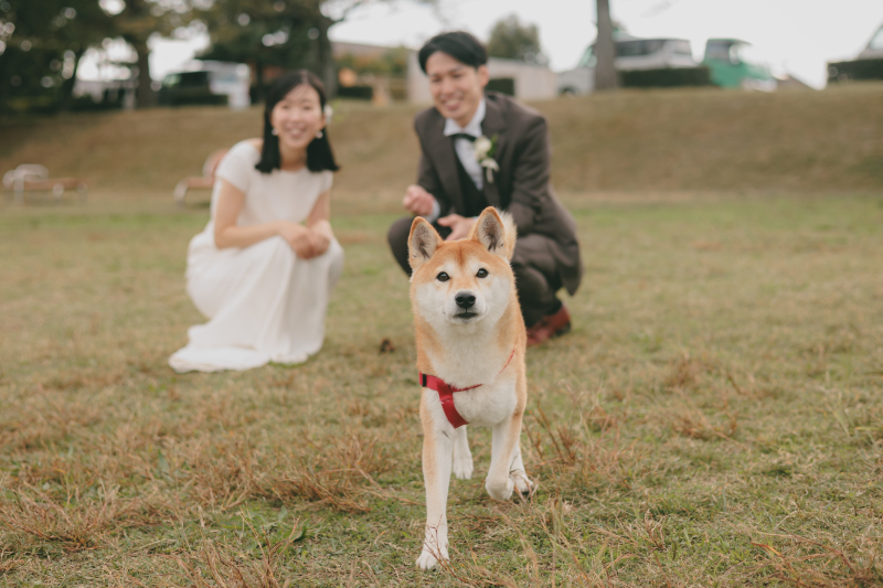 【ペットと一緒に撮影】ロケーションフォト(洋装1着+新婦ヘアメイク+全データ)