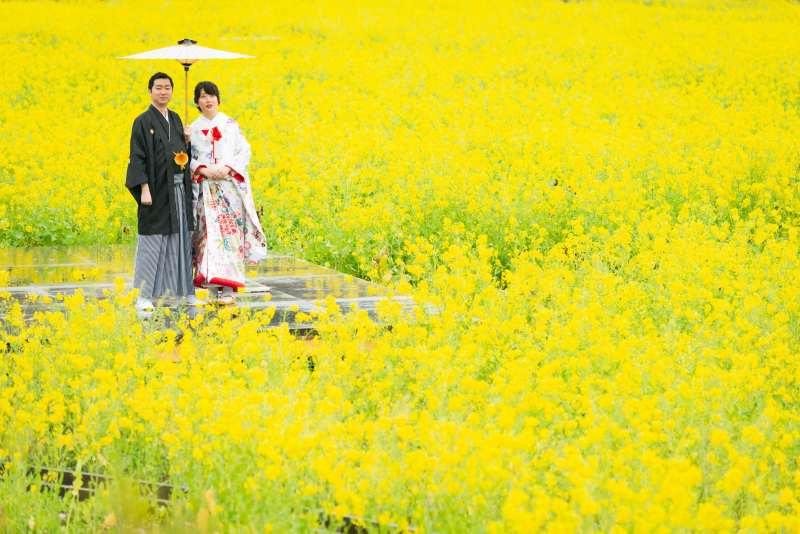 最後は菜の花畑で！