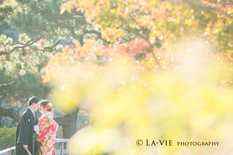 紅葉シーズンの到来です！