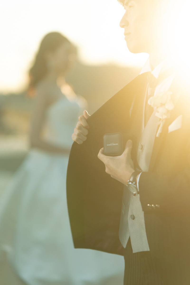 夕日に照らされて