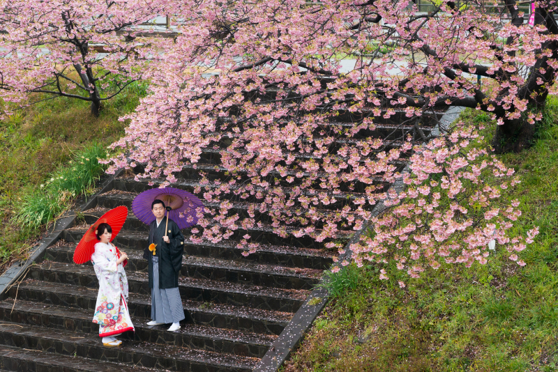 和装の映える彩とともに