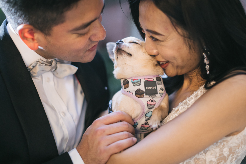 ラヴィファクトリー横浜店_ペットと一緒に撮影できる