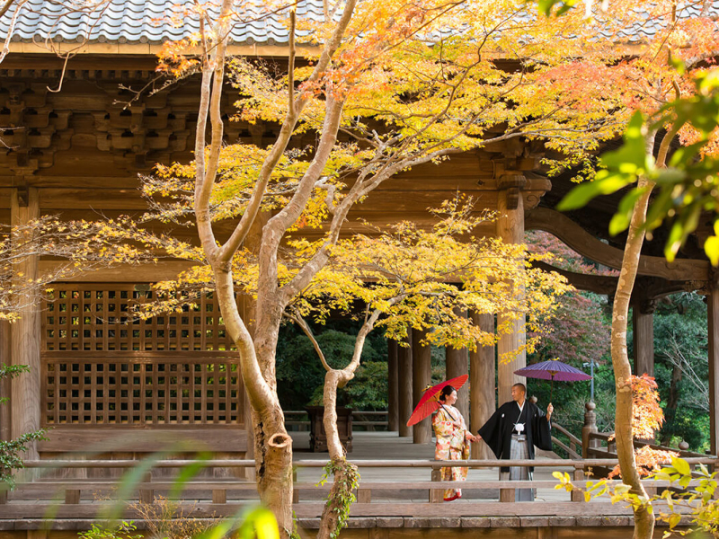 春は桜、秋は紅葉など四季折々の景色が美しい「妙本寺