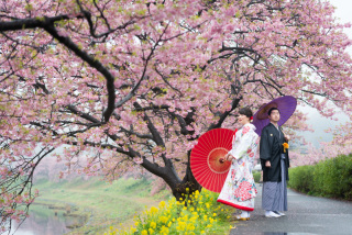 早咲きの河津桜で春を先取り＊