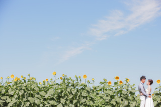 シンプルに綺麗に真心をそえて。