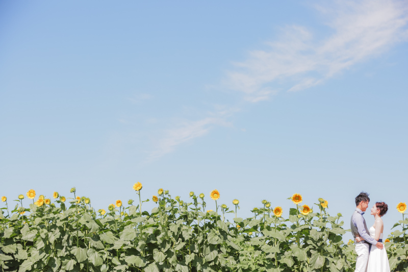 シンプルに綺麗に真心をそえて。