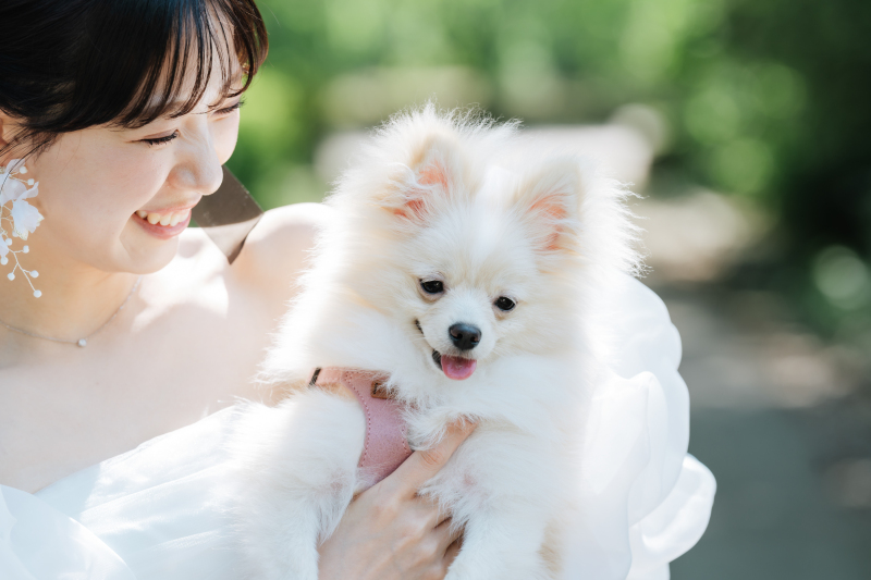 【ペットと一緒に撮影】ロケーションフォト(洋装1着+新婦ヘアメイク+全データ)
