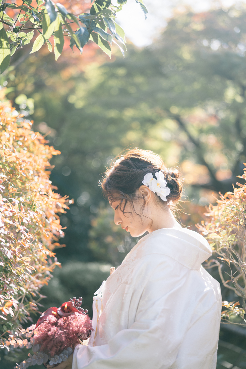 おまかせのススメ