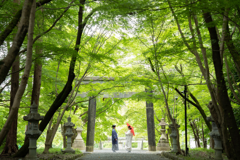 緑に囲まれながら