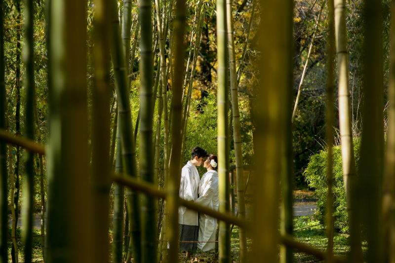竹林にて