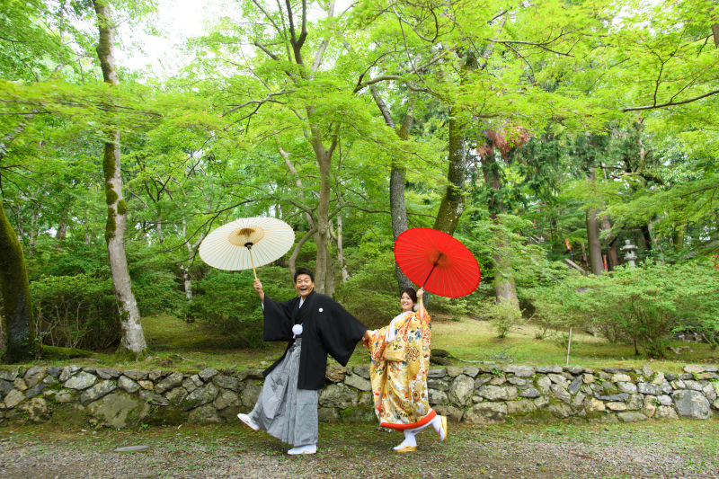 今なら半額キャンペーンも