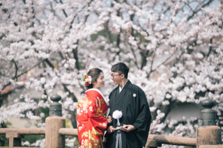 桜の季節がやってまいりました！