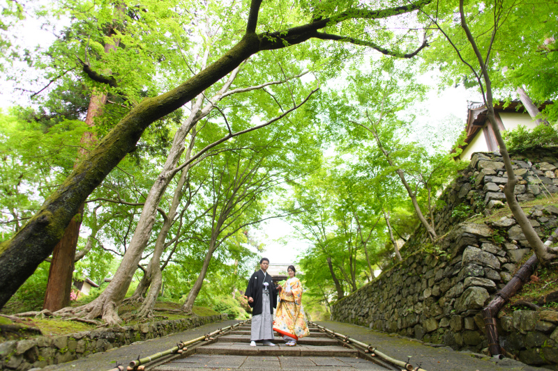 新緑も人気のロケ地