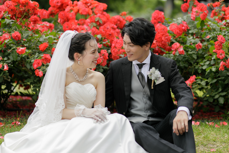 赤い薔薇を背景に