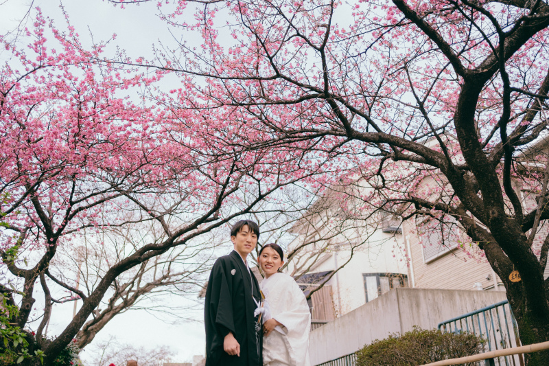 春ならではのショット