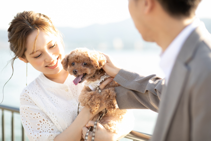 ラヴィファクトリー京都店_ペットと一緒に撮影できる