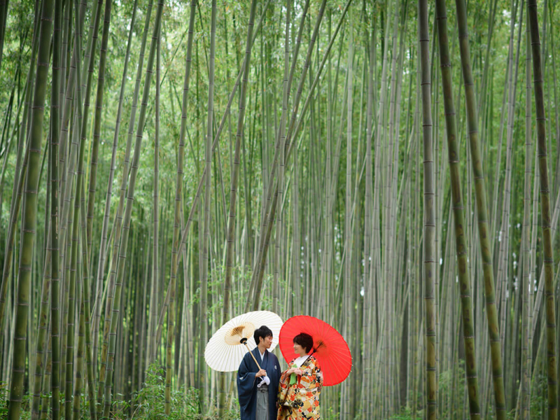 和の風情感じる美しい竹林での撮影も！