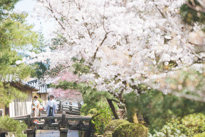 おふたりの和装姿に彩りを添える大覚寺の四季