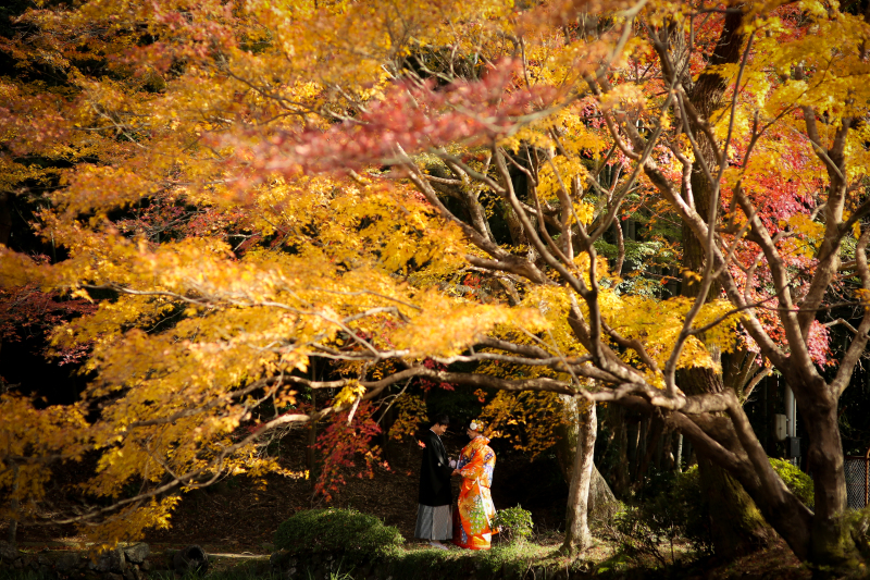 大原野神社にて