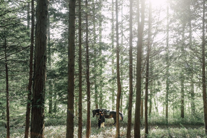 【旅フォト(FULL DAY)】旅×フォトウェディングで叶える新しい結婚式のかたち|8時間のオーダーメイドプラン